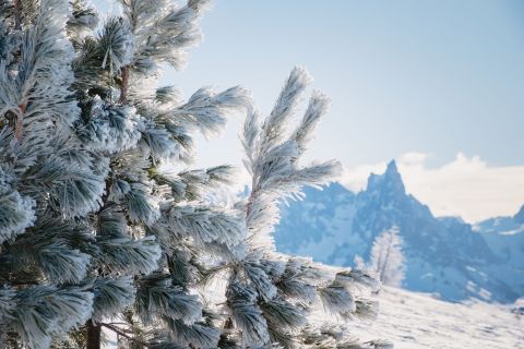 Location perfetta nel cuore delle Dolomiti Immagine: Laste, Arabba