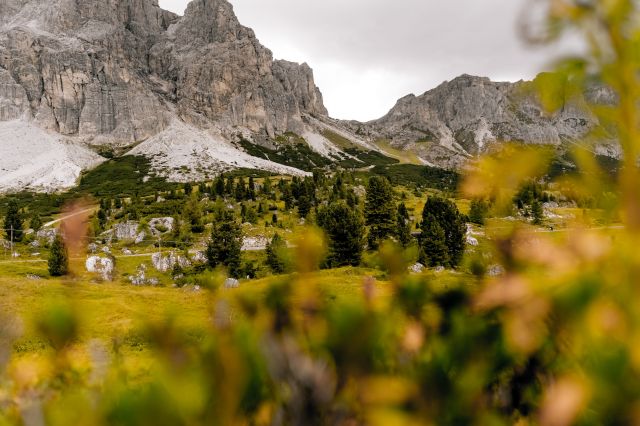 Vacanze nelle Dolomiti Immagine: le Dolomiti